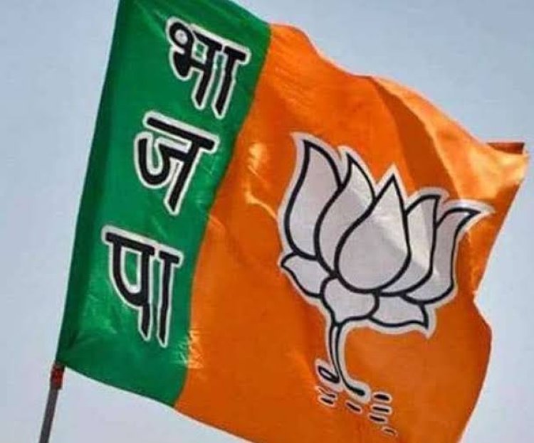 *भारतीय जनता पार्टी में कोटा, रतनपुर और बेलगहना मंडल के पदाधिकारियों की सूची जारी*