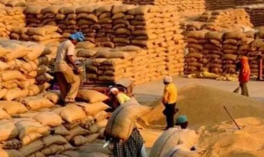 खरीदी केंद्र में 229.60 क्विंटल धान शॉर्टेज : सहकारिता विभाग की संयुक्त टीम ने की जांच, समिति प्रबंधक पर होगी कार्रवाई