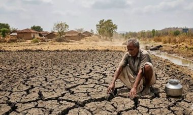 छत्तीसगढ़ के किसानों पर 'एल नीनो' की मार! देर से दस्तक देगा मानसून, जून में लू और उमस करेगी बेहाल